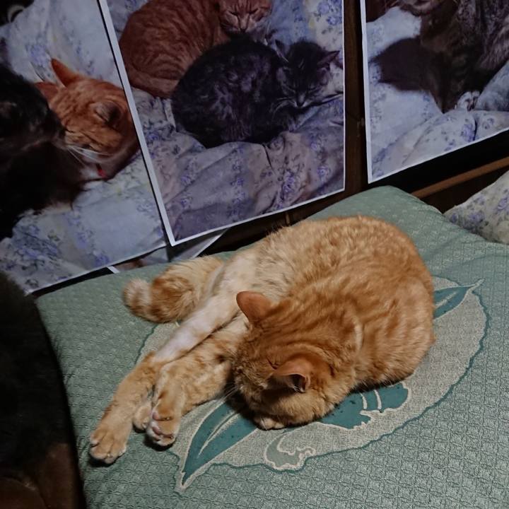 Fa8e82a2 1a52 4579 89cb 514c50a86ef8 1657455557583