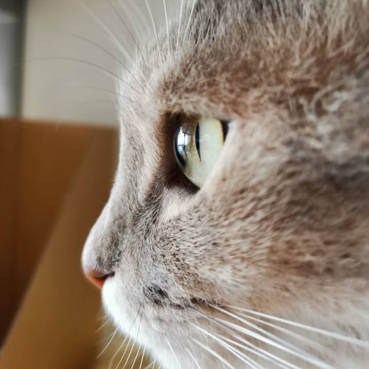 Fa8e83d7 7e90 4c0b 8743 9f1199b2c1b2 1602559380250