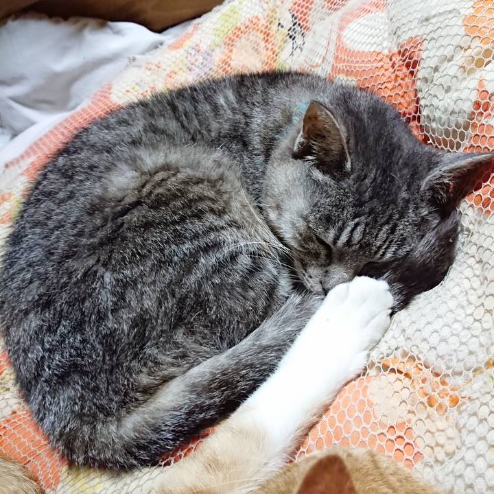 Fa8ed2b5 a14f 468b becf 370a7ec4cc5d 1571578819963