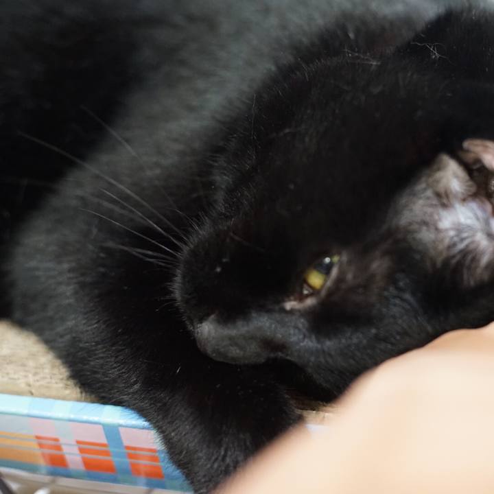 Fa8f28d6 b824 466e a0f8 7415ed4487e3 1534981564987