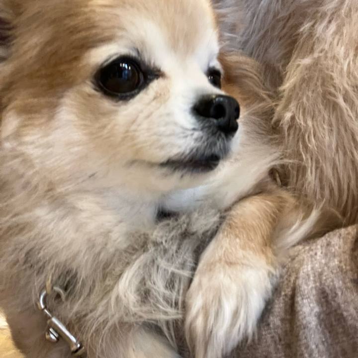 Fa8f3f2c 6ea7 4189 848b 86281239aa78 1771693782712