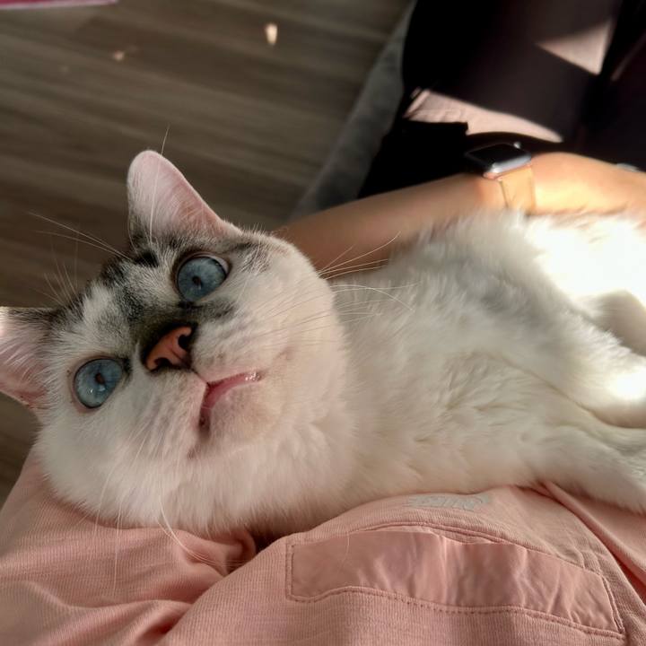 Fa8f8c94 40a9 40a9 b4cb e5855fd95bbf 1686988471544