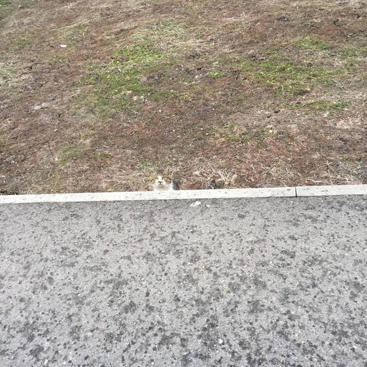 Fa8f9990 79d1 48c0 b448 fa242c036ca6 1523261698304