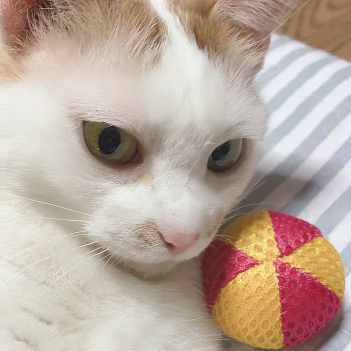 Fa8fdb6f 5607 436d 9eab 16ff02f87292 1597487983811