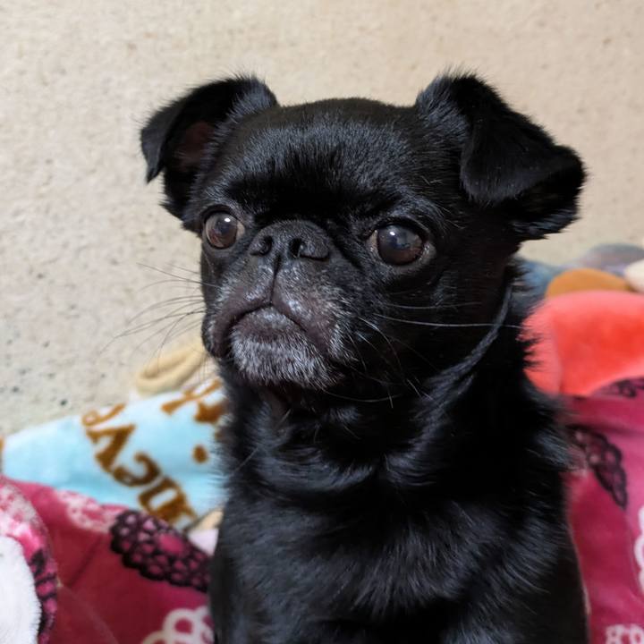 Fa8ffdd9 89a9 4198 9aa8 3df3e209f1fa 1762871797820