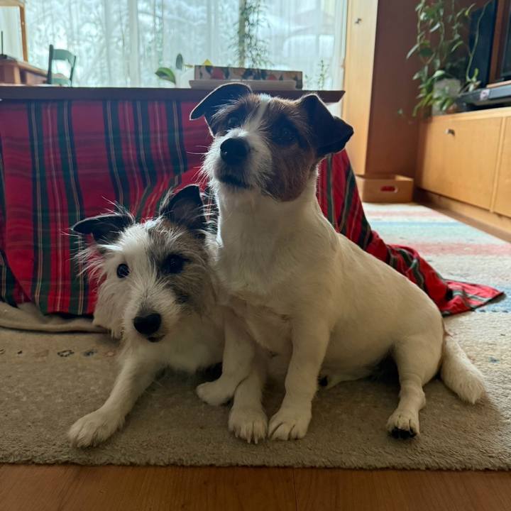 Fa902f0d ab19 45b0 91c4 9b97622b2054 1769225673012