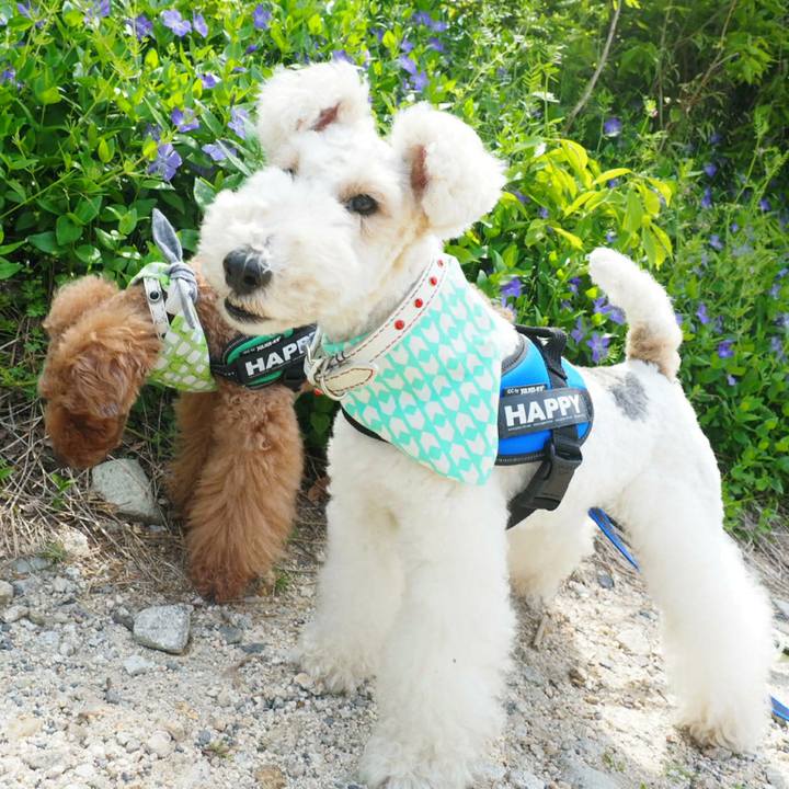 Fa903b9c 8e99 4628 b002 44f1d791aba3 1524489164752