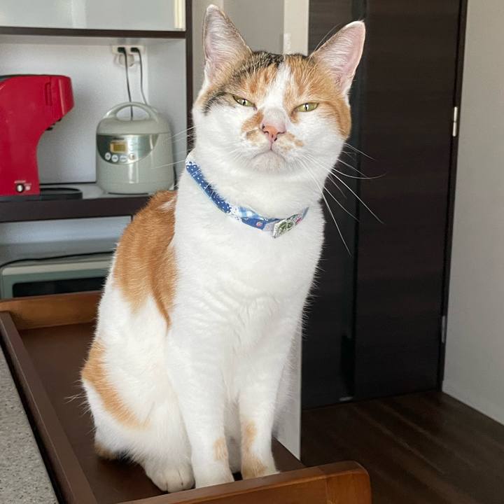 Fa904a40 a0de 4c34 a6e5 ce64523bc7d0 1693540324531