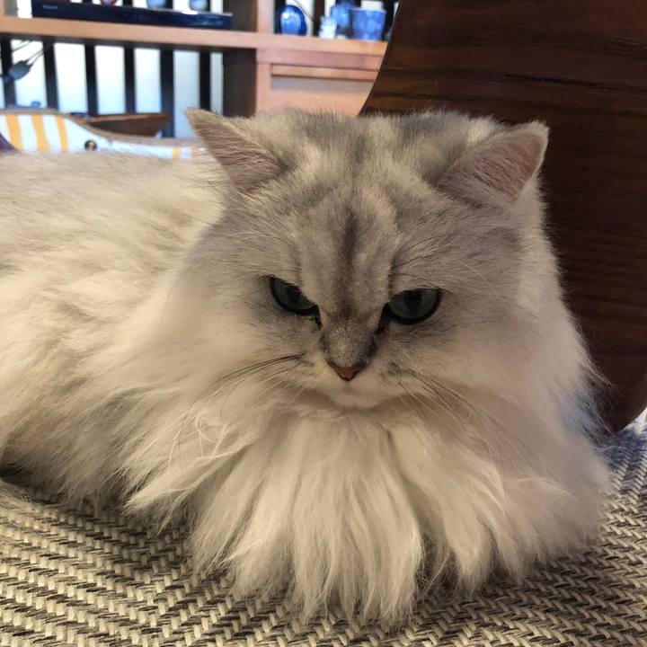 Fa90777e bf4f 40ed bf6f 46fe6f0f20bb 1572612603189