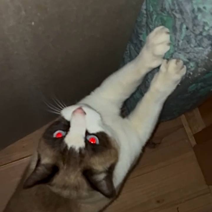 Fa909195 c8d9 411b b138 adce6cc392a6 1766835257381