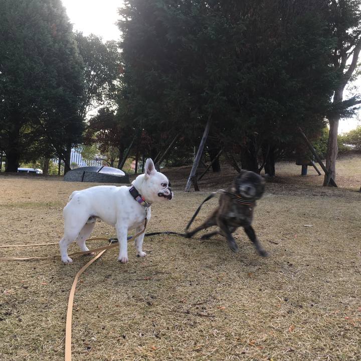 Fa90ac00 dd5c 450e 8d28 7eb570de1662 1552055043928