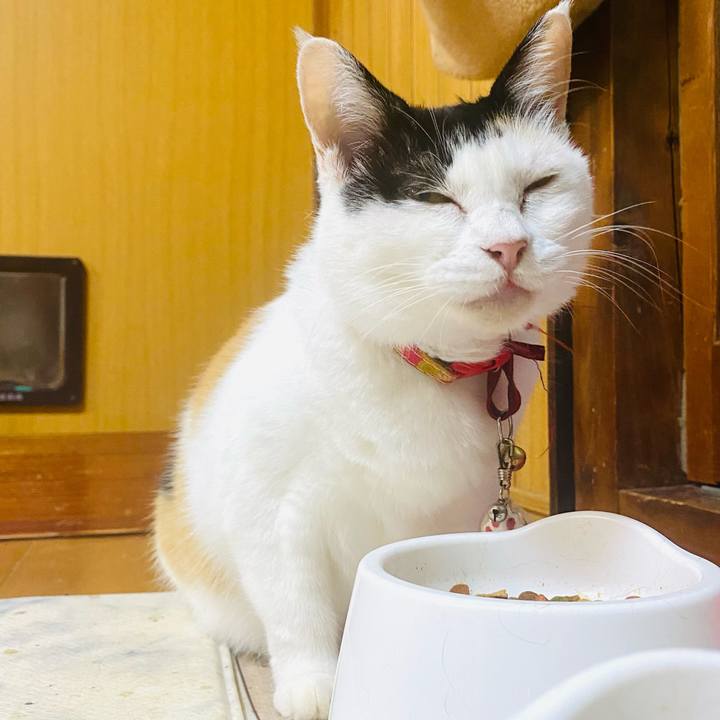 Fa910b1f 3a70 416a 8645 6db314d7dcb0 1756730595594