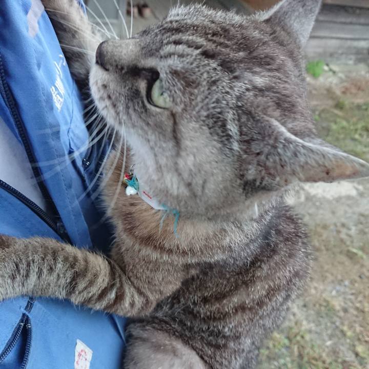 Fa916030 faa4 4f55 89b7 3a0063eb68ce 1569054834186