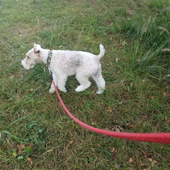 Fa9171db c123 47d7 afab 80d8fd19a36e 1573081626742