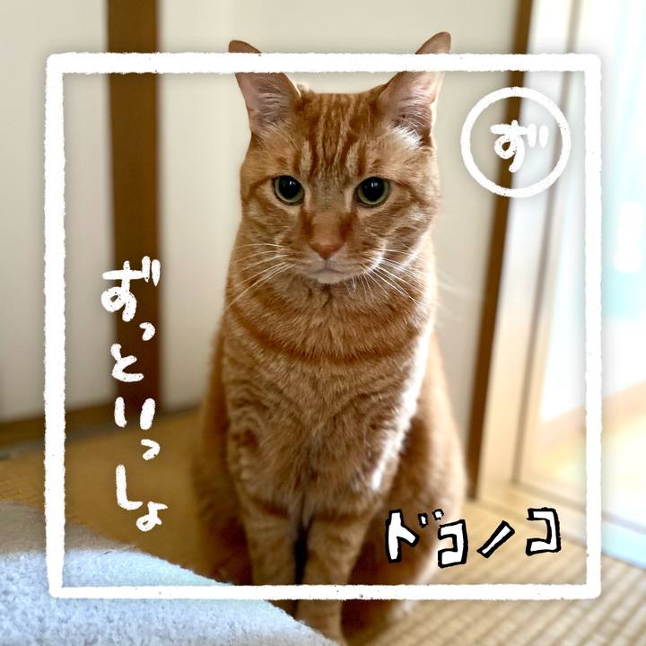 Fa917ec2 69ec 47eb a459 d3b4530bccea 1685960961128