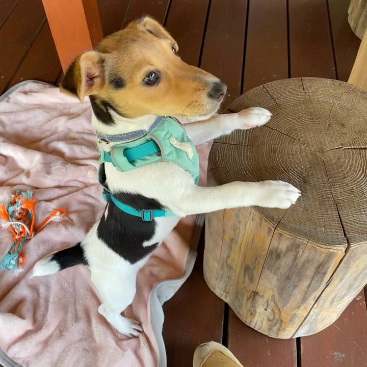 Fa918cd7 0ae4 4857 a027 1d41fca547ec 1746362779915