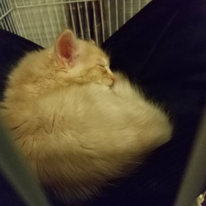 Fa91ba34 8357 4b5b 91d7 69ca5e9e4bab 1602767651093