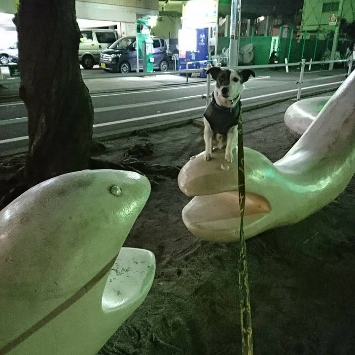 Fa91cd2c a0bb 47dc 8bb1 fa36b63285df 1520336120906