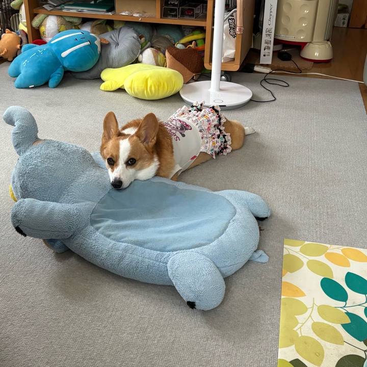 Fa91ce65 ad83 4269 9f04 4786f4dd6f31 1759799715384