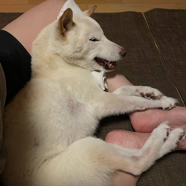 Fa9237cd f85f 487b 8120 0aa70dc80d29 1663509003638