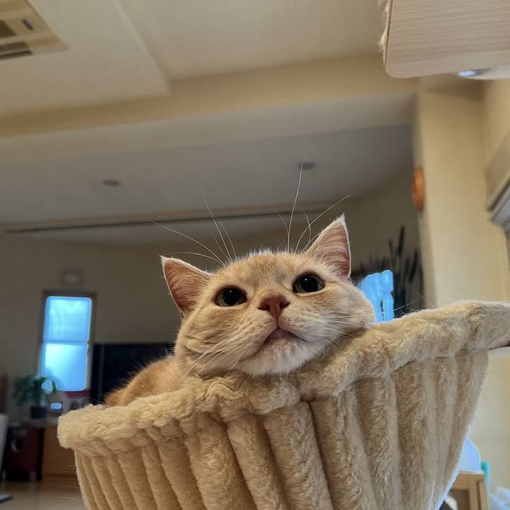 Fa923cec e693 4877 92bf 368150e887ed 1682584839646