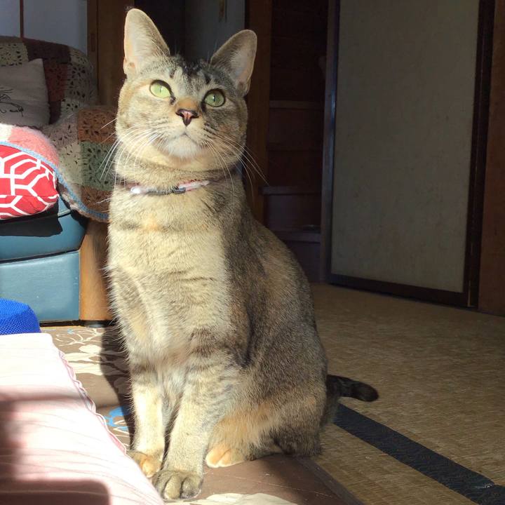 Fa923f3e d621 445a 98cd 1d81bc43ab8e 1586819680255