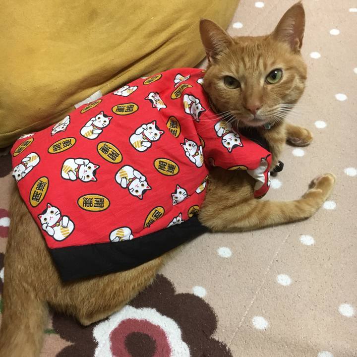 Fa928771 e90c 4ece 8bfd a2cd4420b943 1511102053321