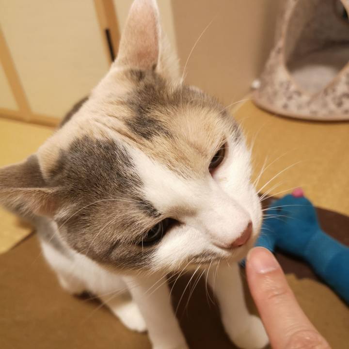 Fa92959f 6ab5 4a69 b2d2 3dd4f1660f90 1586354512115