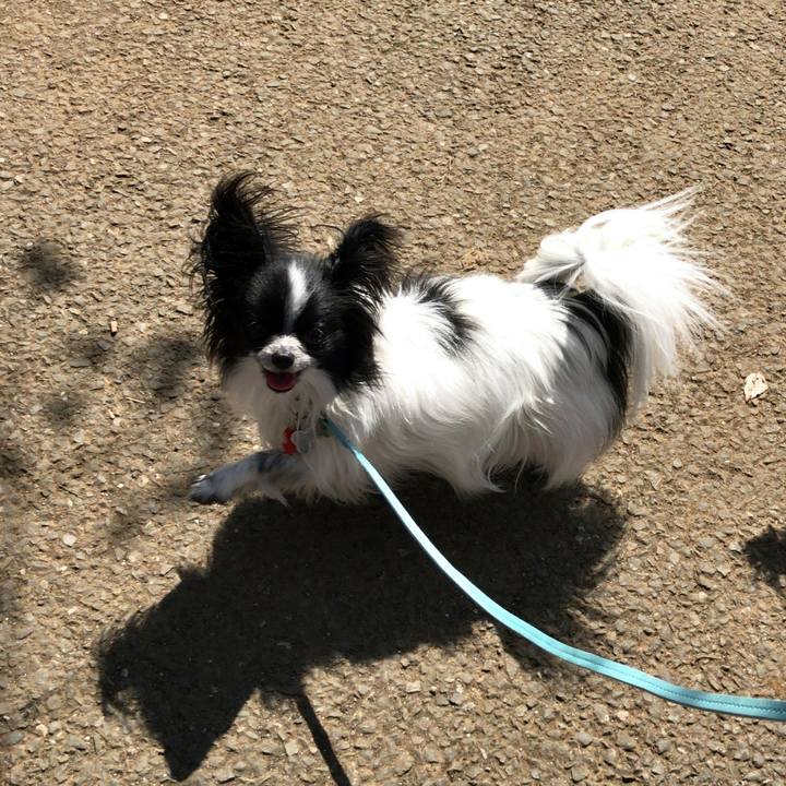 Fa92c7f3 800a 487f b01b 284ea282b460 1521955010375