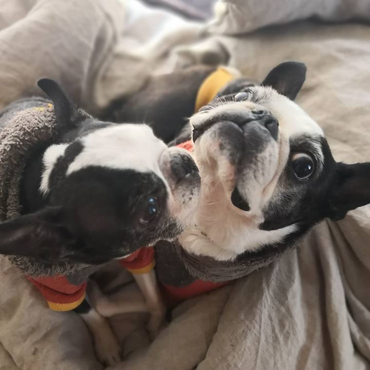 Fa92d145 ba03 4a41 865f 5cb168d5c770 1544867487395