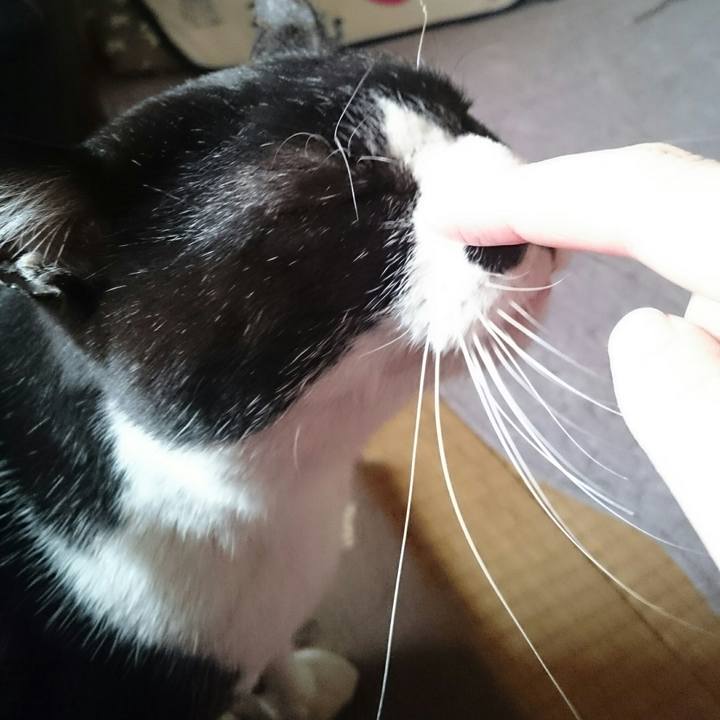 Fa92ff4f cb08 48ed 9d9e 11903bd22063 1517031995373