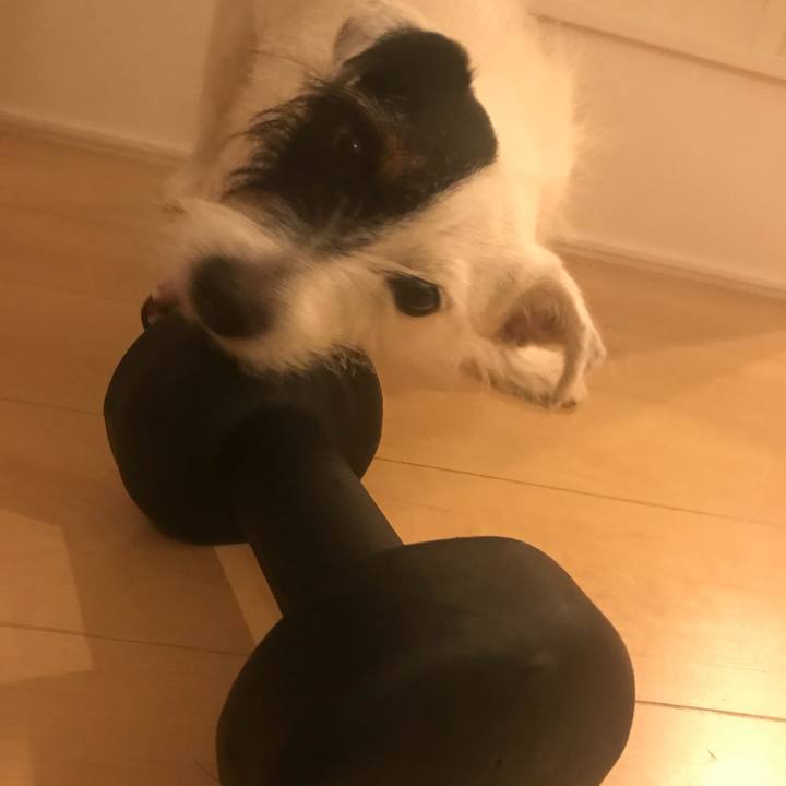 Fa933bb4 2d34 478b b2cf d17c1d92b464 1537270674801