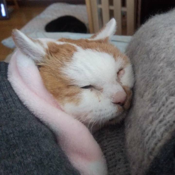 Fa9357c0 bafc 4320 8393 eede42c2e273 1611532305170