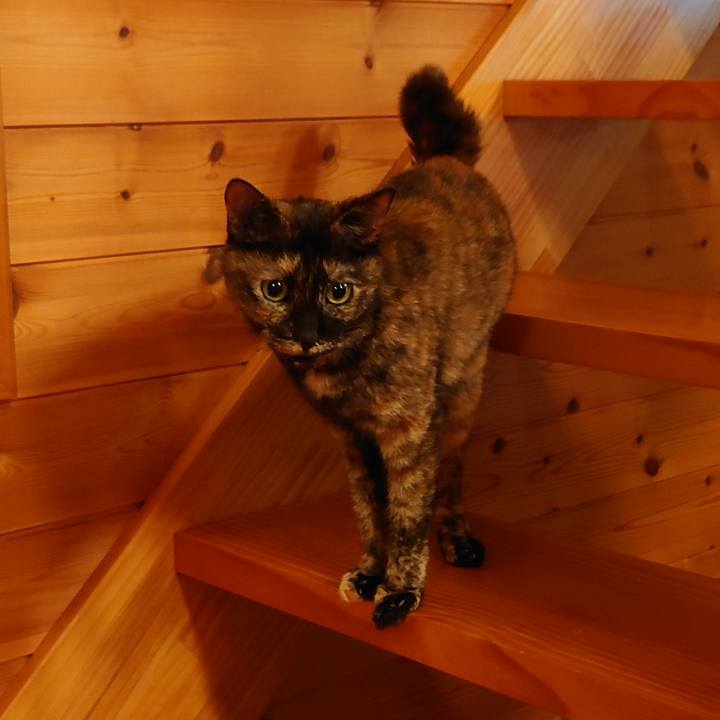 Fa9370e6 9020 4ab8 873e 926174f24893 1755057050766