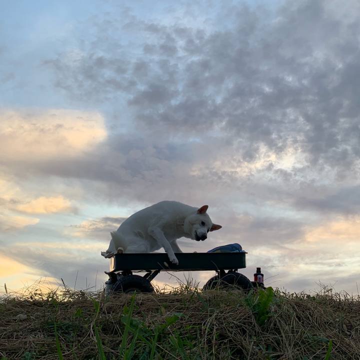 Fa93768c f380 403c 9e77 52a25851a3f5 1570352865130