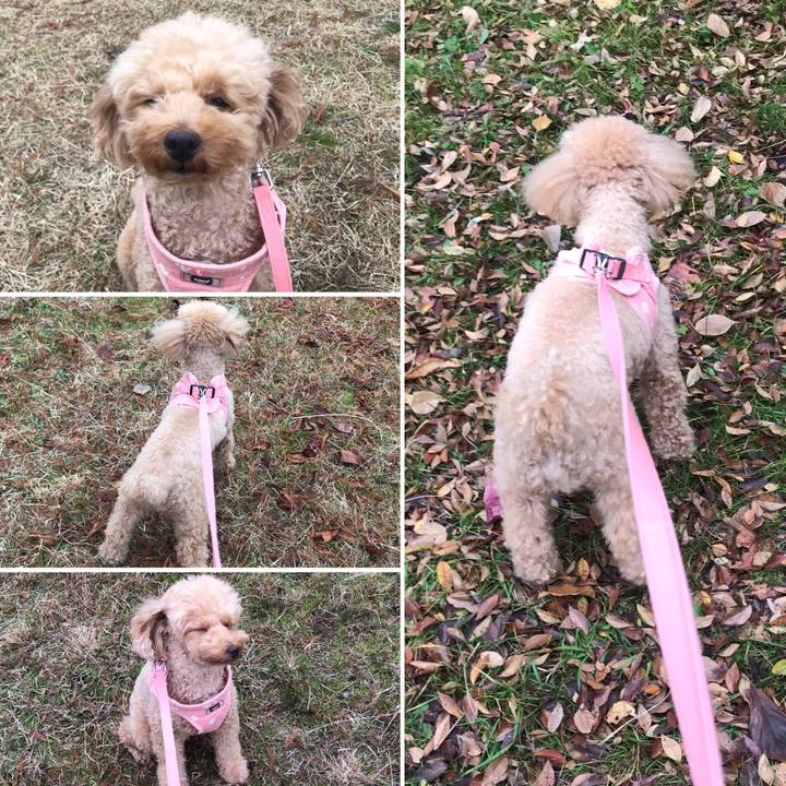 Fa93be4d f3ee 4f05 a843 210181780401 1576924189367