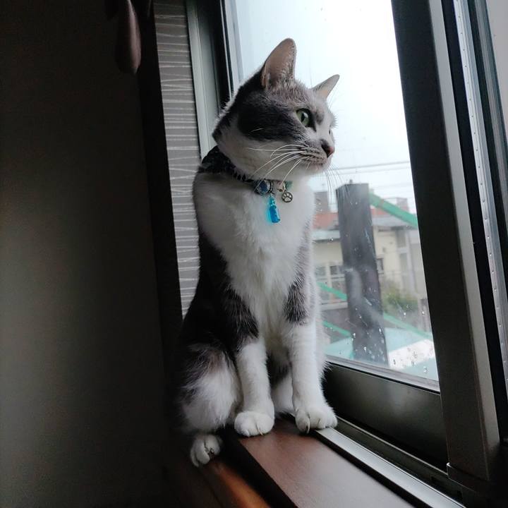 Fa93c1f5 24fe 46b4 b33d 456e47b58be6 1670309961963