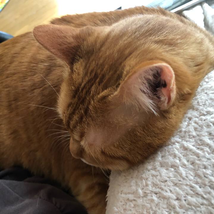 Fa944982 378c 4d05 a7fe f49f2a84e792 1651187697903