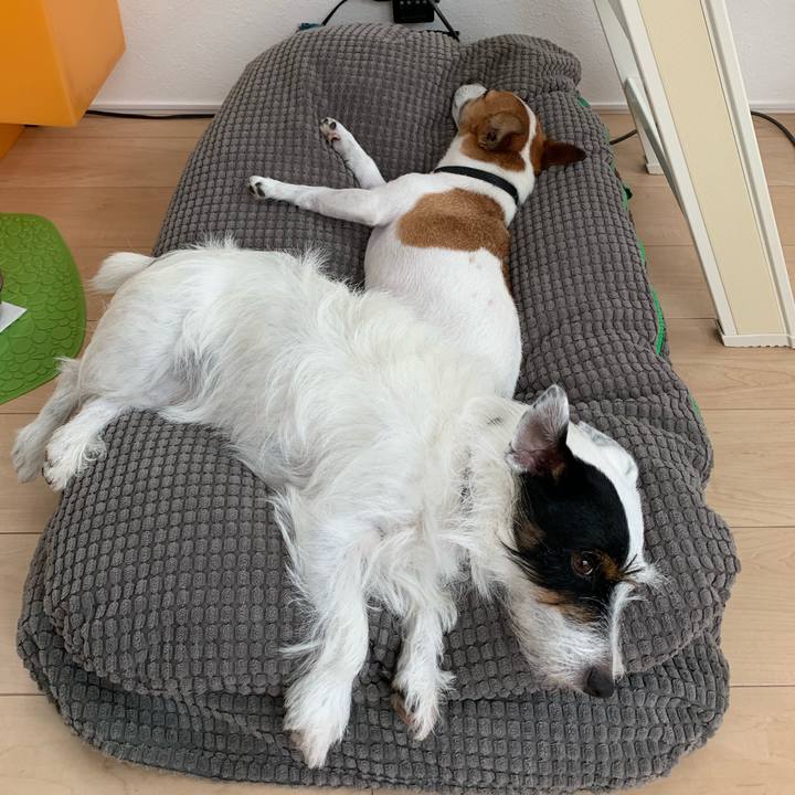 Fa9457ab d51c 41c7 bf9f b2a053506055 1566972977186