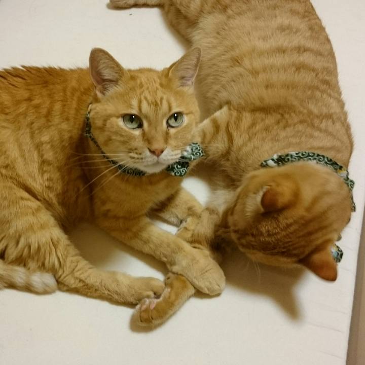 Fa9457ae 55cc 42c5 8096 e4a4fc5f848d 1569144160803