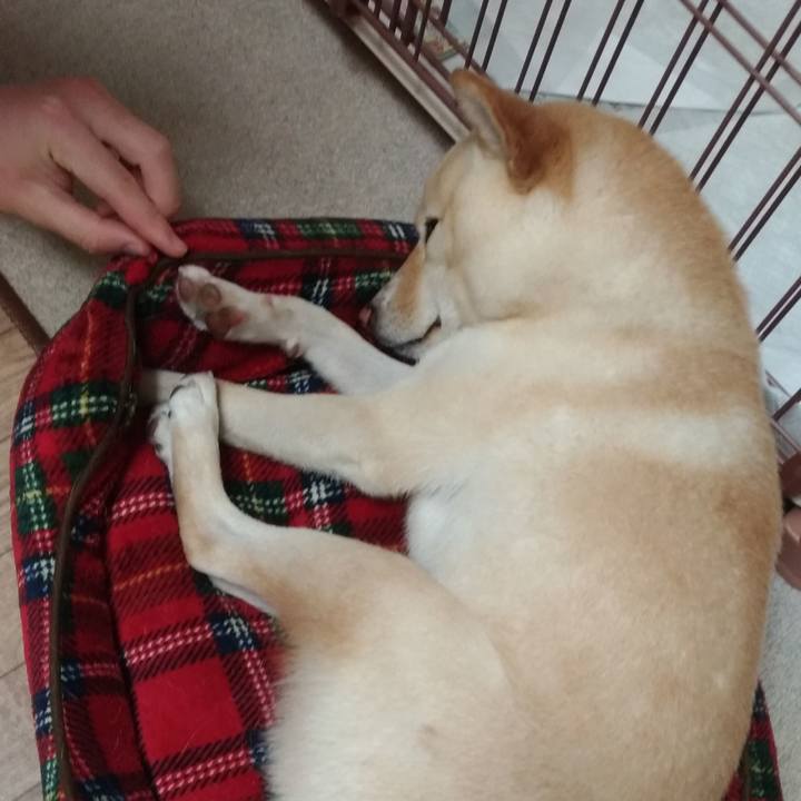 Fa94719b e7b3 4a42 b253 3fce27bf215f 1540727763706