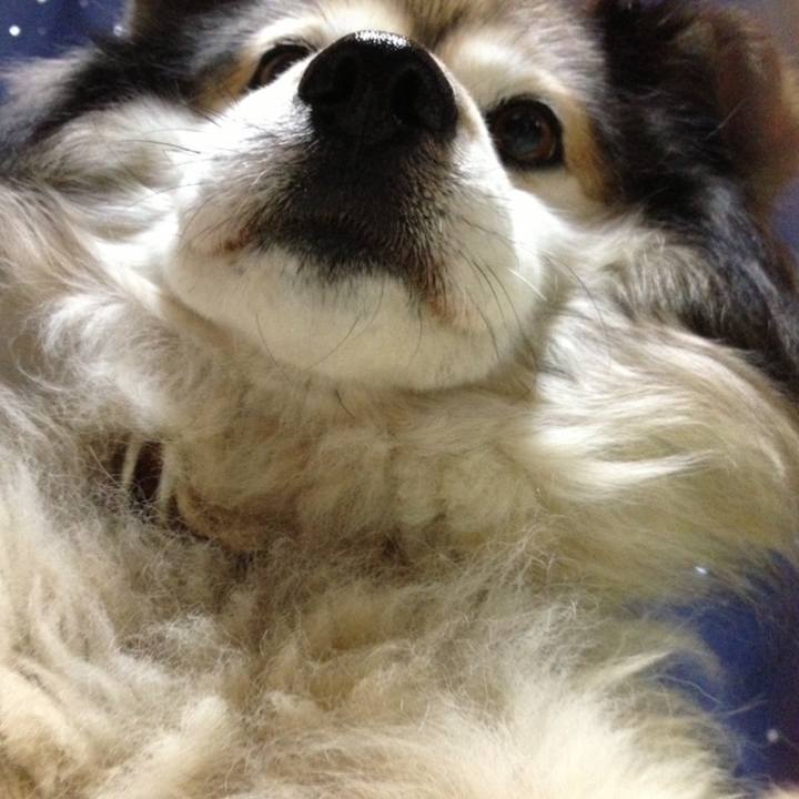 Fa947a11 6c80 4933 84aa 5e9bab2ef025 1601822266551