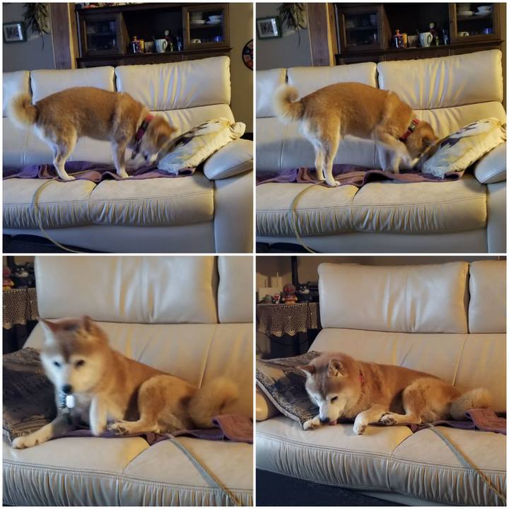 Fa948fdd cb05 431f 833c 20941ea44cde 1727083114326