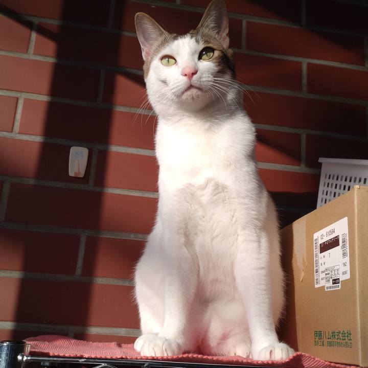 Fa94c916 3f4c 4bbe a0af d91e2d298c0a 1679212472898