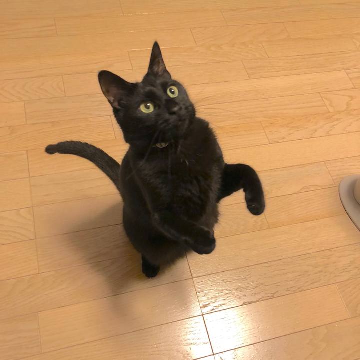 Fa951359 11d3 4305 ada5 7c17b2c09f96 1516543754104