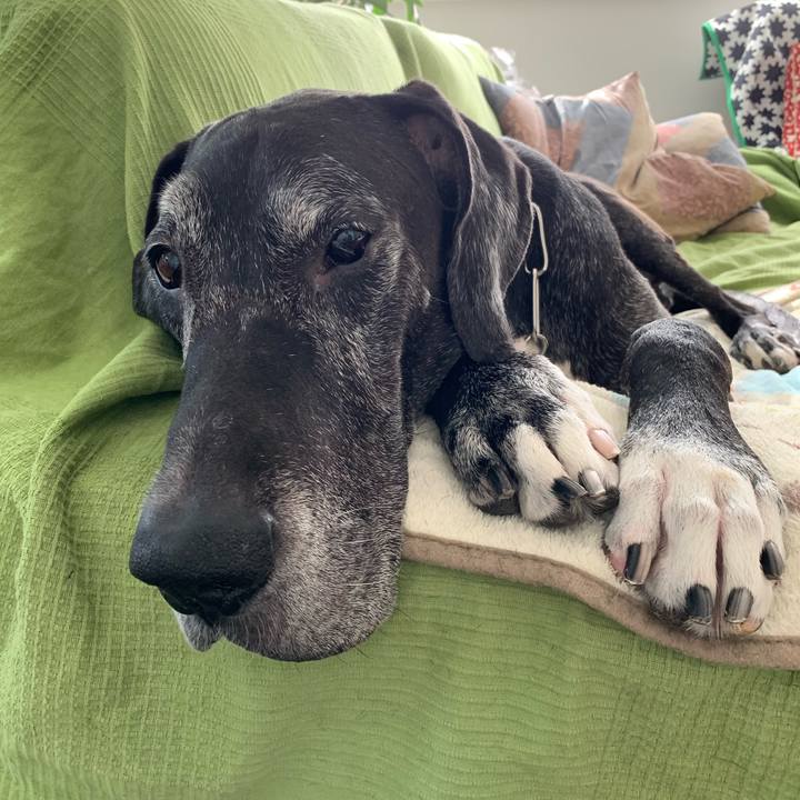 Fa9514c6 3164 40f8 be36 9d72cc589a2d 1572562916690