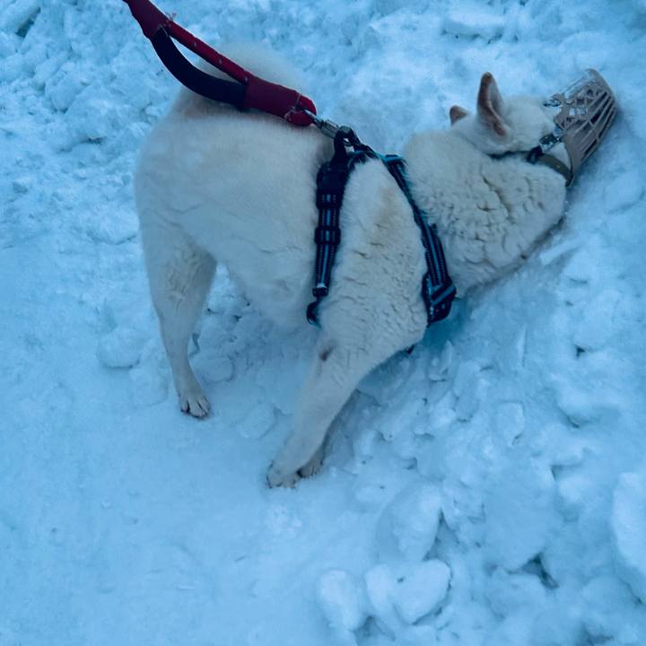 Fa956464 5f7b 4528 894c c67f16b320f4 1734049045461