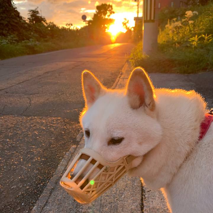 Fa957cbb 880a 4b52 b68c 2624d85f553c 1568323069965