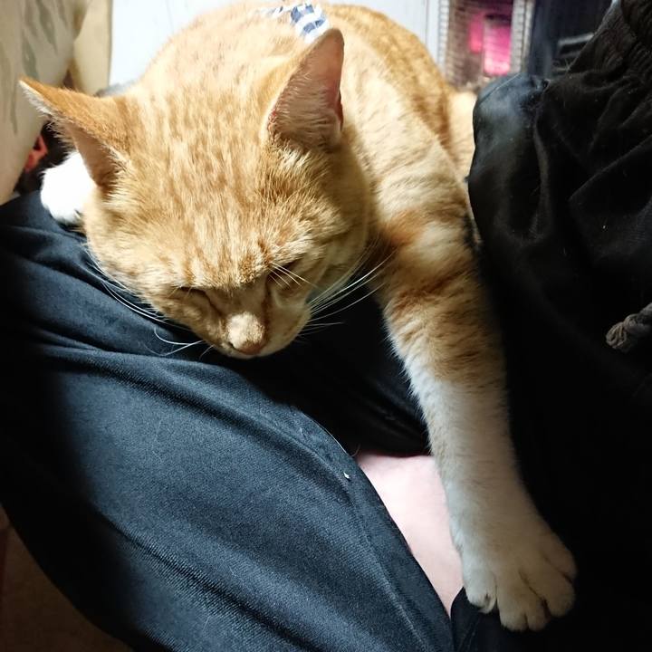 Fa95b2df 155e 4e2f 8e3b 3012b3245cdf 1573984565799