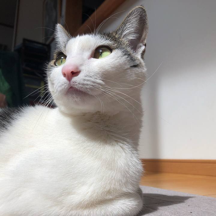 Fa95d311 12be 4104 97c4 8ee154d0f82c 1646627354554